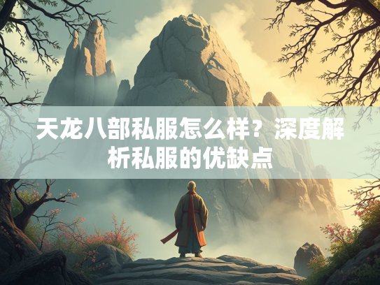 天龙八部私服怎么样？深度解析私服的优缺点