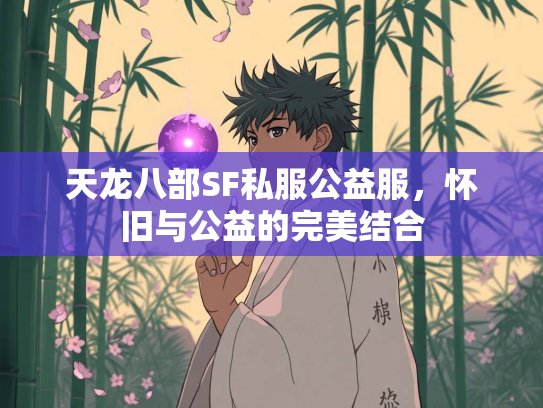 天龙八部SF私服公益服，怀旧与公益的完美结合