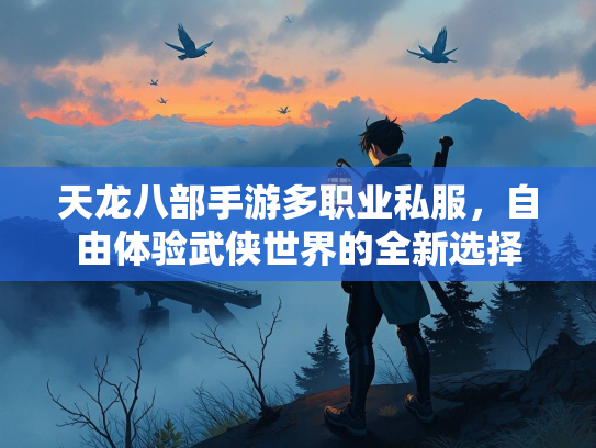 天龙八部手游多职业私服，自由体验武侠世界的全新选择