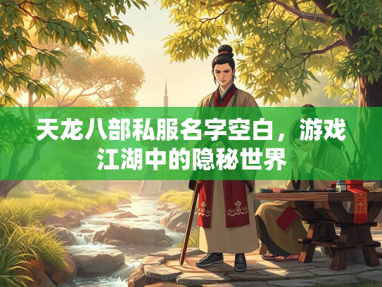 天龙八部私服名字空白，游戏江湖中的隐秘世界  第2张
