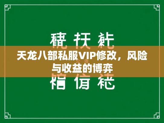 天龙八部私服VIP修改，风险与收益的博弈  第2张