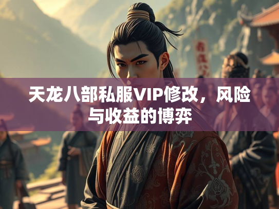 天龙八部私服VIP修改，风险与收益的博弈