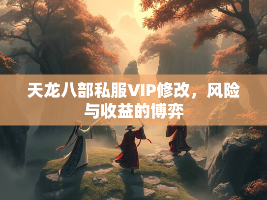 天龙八部私服VIP修改，风险与收益的博弈  第1张