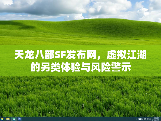 天龙八部SF发布网，虚拟江湖的另类体验与风险警示  第2张