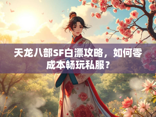 天龙八部SF白漂攻略，略何零成如何零成本畅玩私服？  第1张