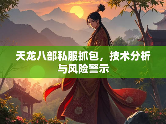 天龙八部私服抓包，技术分析与风险警示  第2张