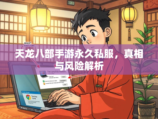 天龙八部手游永久私服，真相与风险解析