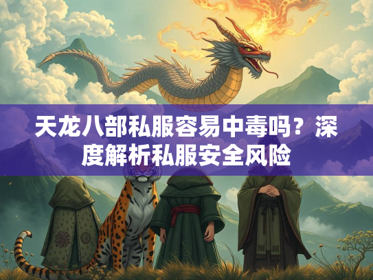 天龙八部私服容易中毒吗？深度解析私服安全风险