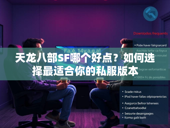 天龙八部SF哪个好点？如何选择最适合你的私服版本  第3张