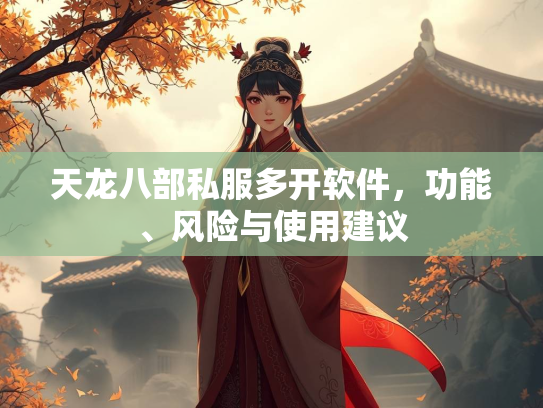 天龙八部私服多开软件，功能、风险与使用建议  第3张