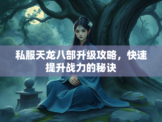 私服天龙八部升级攻略，快速提升战力的秘诀