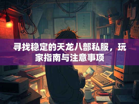 寻找稳定的天龙八部私服，玩家指南与注意事项