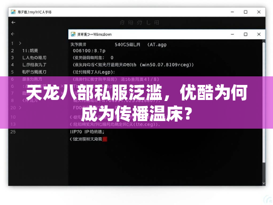 天龙八部私服泛滥，优酷为何成为传播温床？