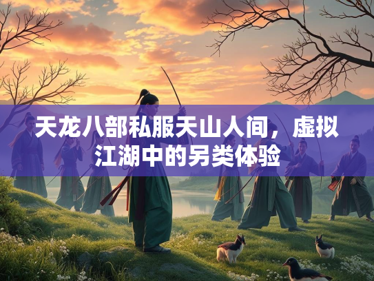 天龙八部私服天山人间，虚拟江湖中的另类体验