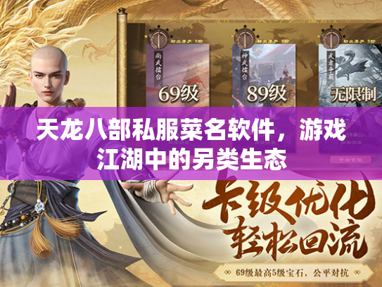 天龙八部私服菜名软件，游戏江湖中的另类生态  第2张