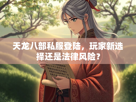 天龙八部私服登陆，玩家新选择还是法律风险？  第2张