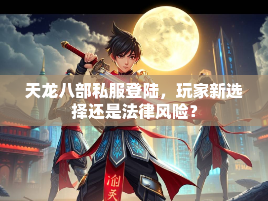 天龙八部私服登陆，玩家新选择还是法律风险？  第1张