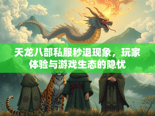 天龙八部私服秒退现象，玩家体验与游戏生态的隐忧  第2张