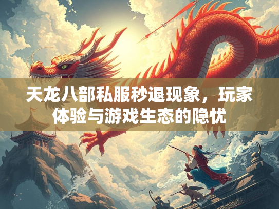 天龙八部私服秒退现象，玩家体验与游戏生态的部私隐忧  第1张