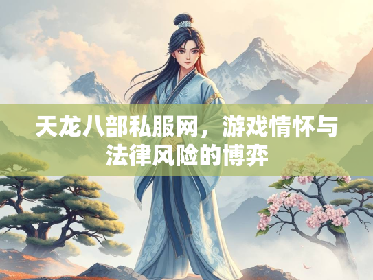 天龙八部私服网，游戏情怀与法律风险的博弈  第2张