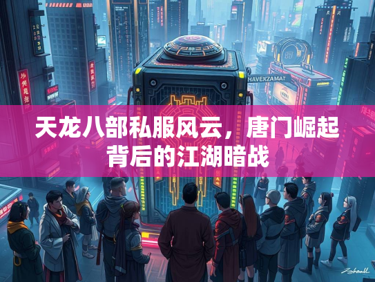 天龙八部私服风云，唐门崛起背后的江湖暗战  第3张