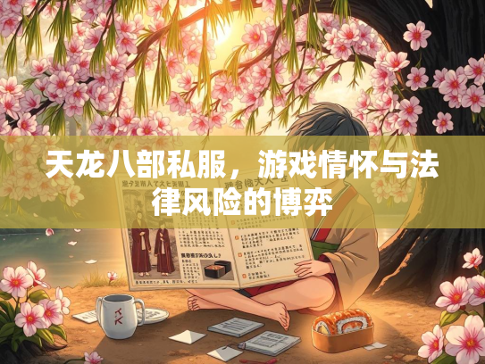 天龙八部私服，游戏情怀与法律风险的博弈  第2张