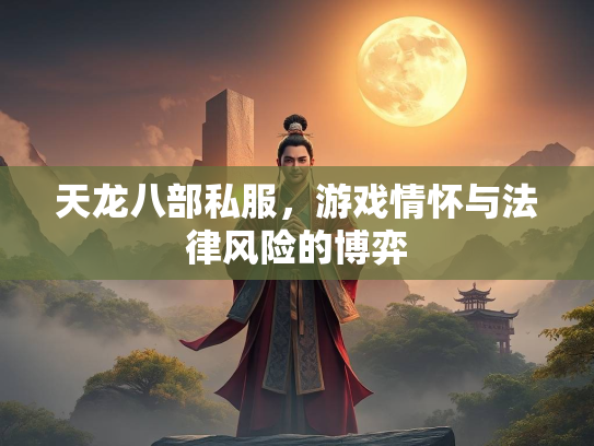 天龙八部私服，游戏情怀与法律风险的博弈  第3张