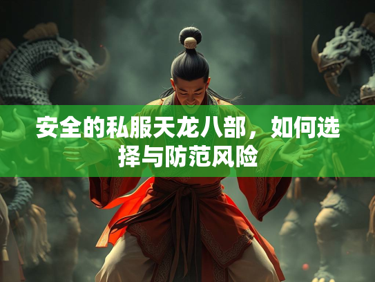 安全的私服天龙八部，如何选择与防范风险  第2张