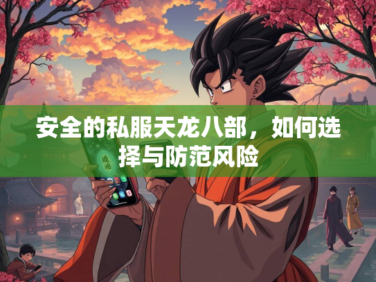 安全的私服天龙八部，如何选择与防范风险  第3张