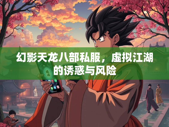 幻影天龙八部私服，虚拟江湖的诱惑与风险  第3张