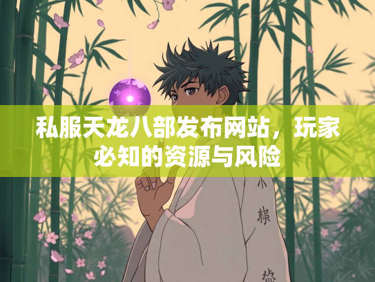 私服天龙八部发布网站，玩家必知的资源与风险