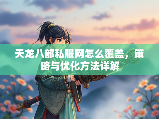 天龙八部私服网怎么覆盖，策略与优化方法详解  第3张