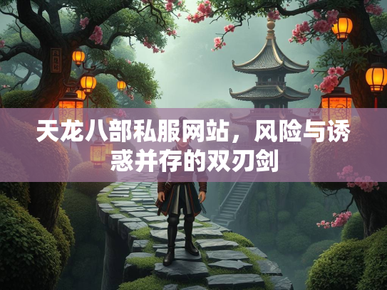 天龙八部私服网站，风险与诱惑并存的双刃剑  第2张