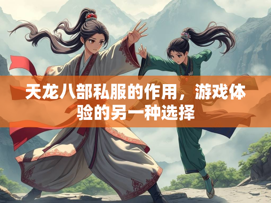 天龙八部私服的作用，游戏体验的另一种选择