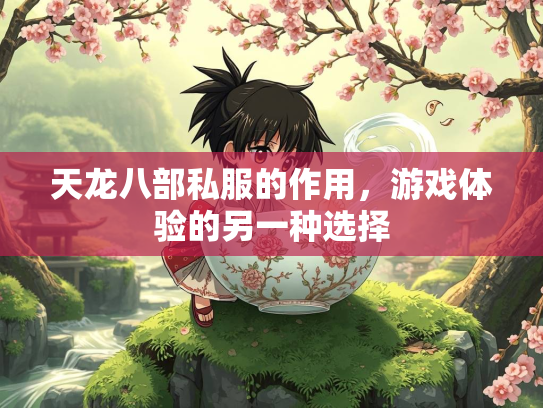 天龙八部私服的作用，游戏体验的另一种选择