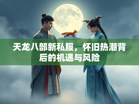 天龙八部新私服，怀旧热潮背后的部新背后机遇与风险  第1张