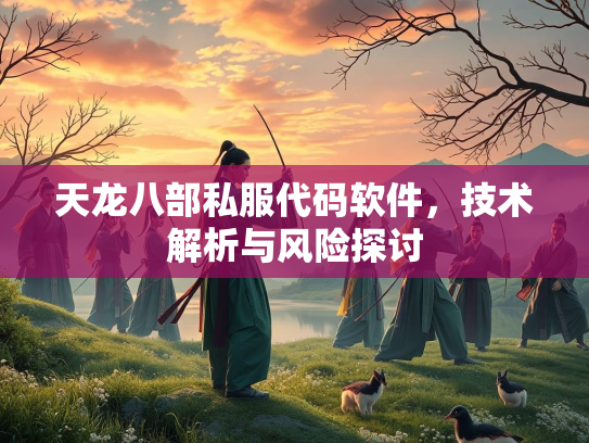 天龙八部私服代码软件，技术解析与风险探讨  第3张