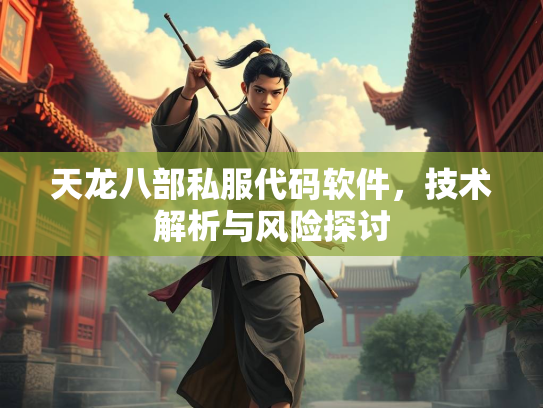 天龙八部私服代码软件，码软技术解析与风险探讨  第1张
