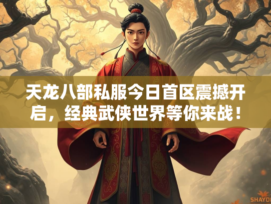 天龙八部私服今日首区震撼开启，经典武侠世界等你来战！  第2张