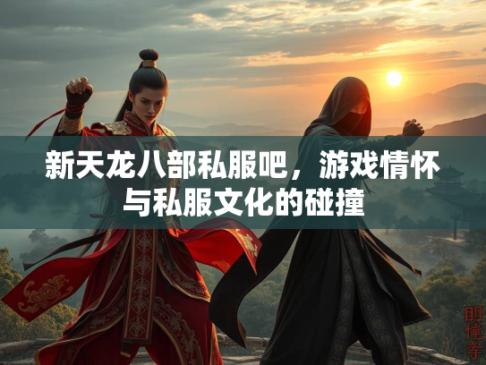 新天龙八部私服吧，游戏情怀与私服文化的碰撞  第3张