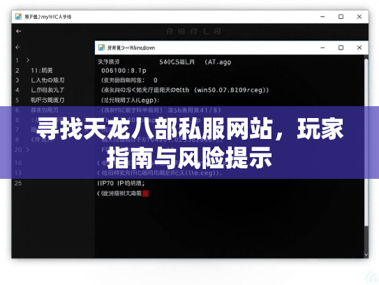 寻找天龙八部私服网站，玩家指南与风险提示