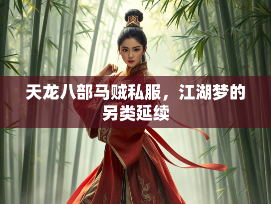 天龙八部马贼私服，江湖梦的另类延续  第1张