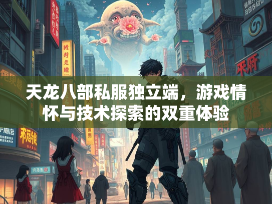 天龙八部私服独立端，游戏情怀与技术探索的双重体验  第3张