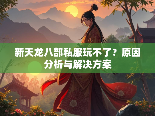 新天龙八部私服玩不了？原因分析与解决方案  第2张