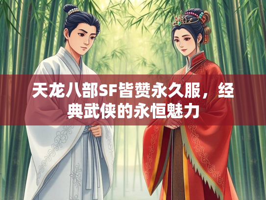 天龙八部SF皆赞永久服，经典武侠的永恒魅力