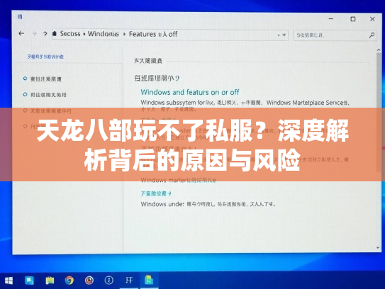 天龙八部玩不了私服？深度解析背后的原因与风险