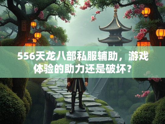 556天龙八部私服辅助，游戏体验的助力还是破坏？