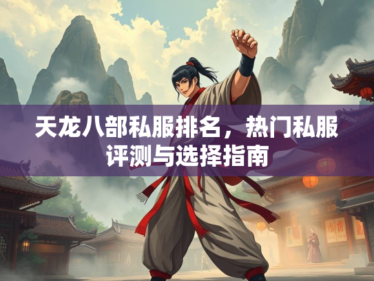 天龙八部私服排名，热门私服评测与选择指南  第2张