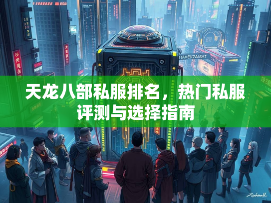 天龙八部私服排名，热门私服评测与选择指南