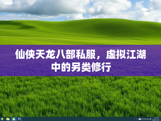 仙侠天龙八部私服，虚拟江湖中的另类修行  第2张